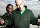 Infected Mushroom